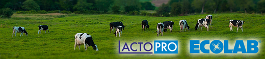 LactoPro-www.jpg